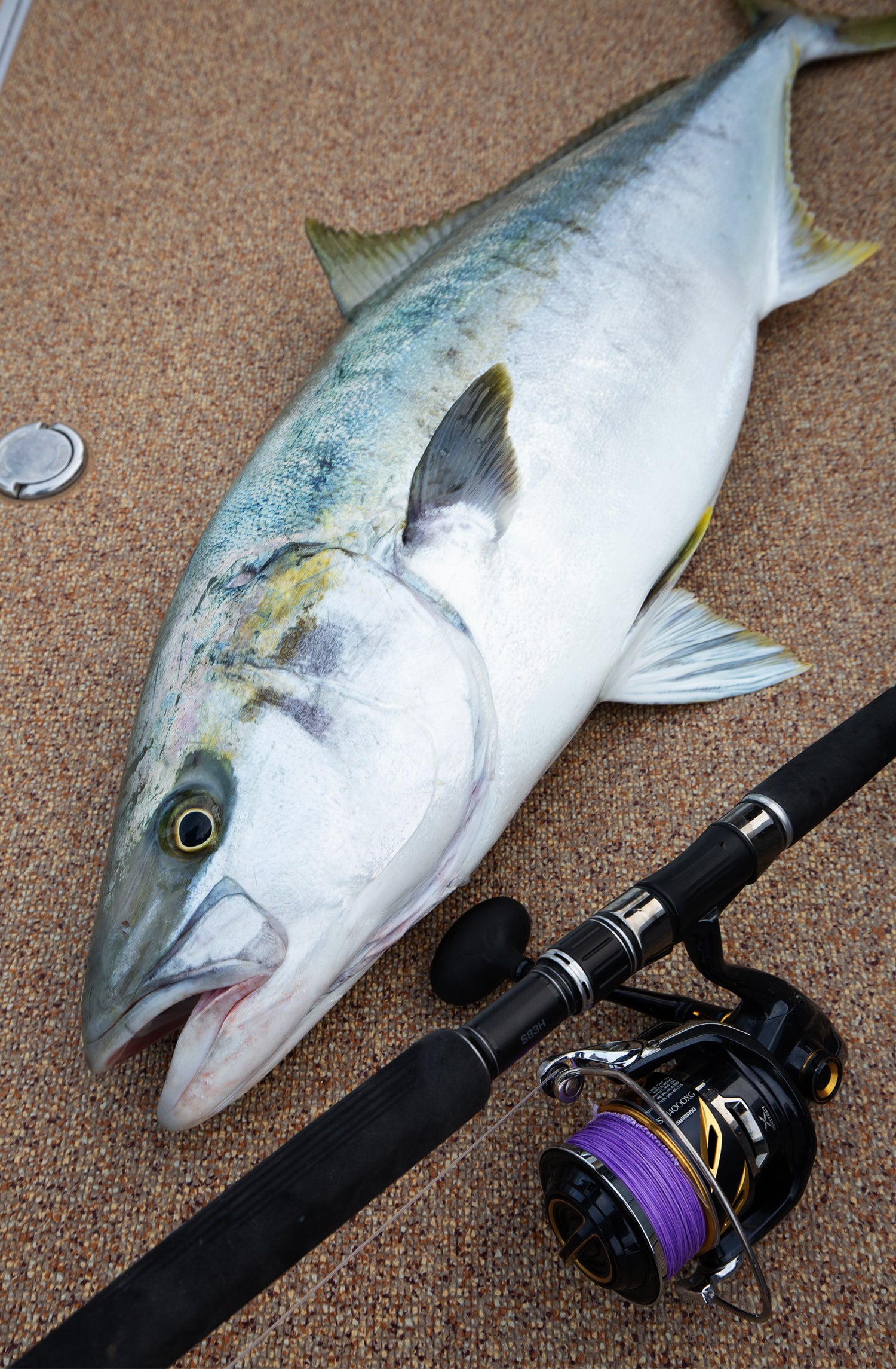 Varivas Casting PE SMP Hiramasa/Kingfish Tune x8 Varivas Casting PE SMP Hiramasa/Kingfish Tune x8