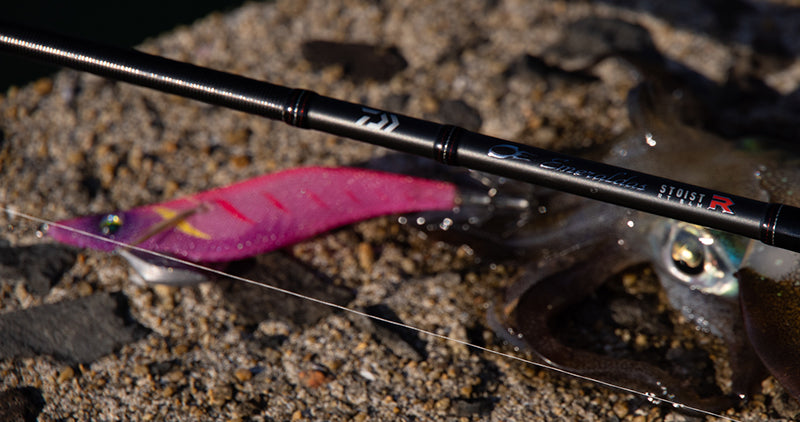 Daiwa Emeraldas Stoist RT IL (Racing Tune Interline Model