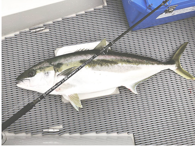 CB One Enfinity Big Shooter EN90/12 – Isofishinglifestyle