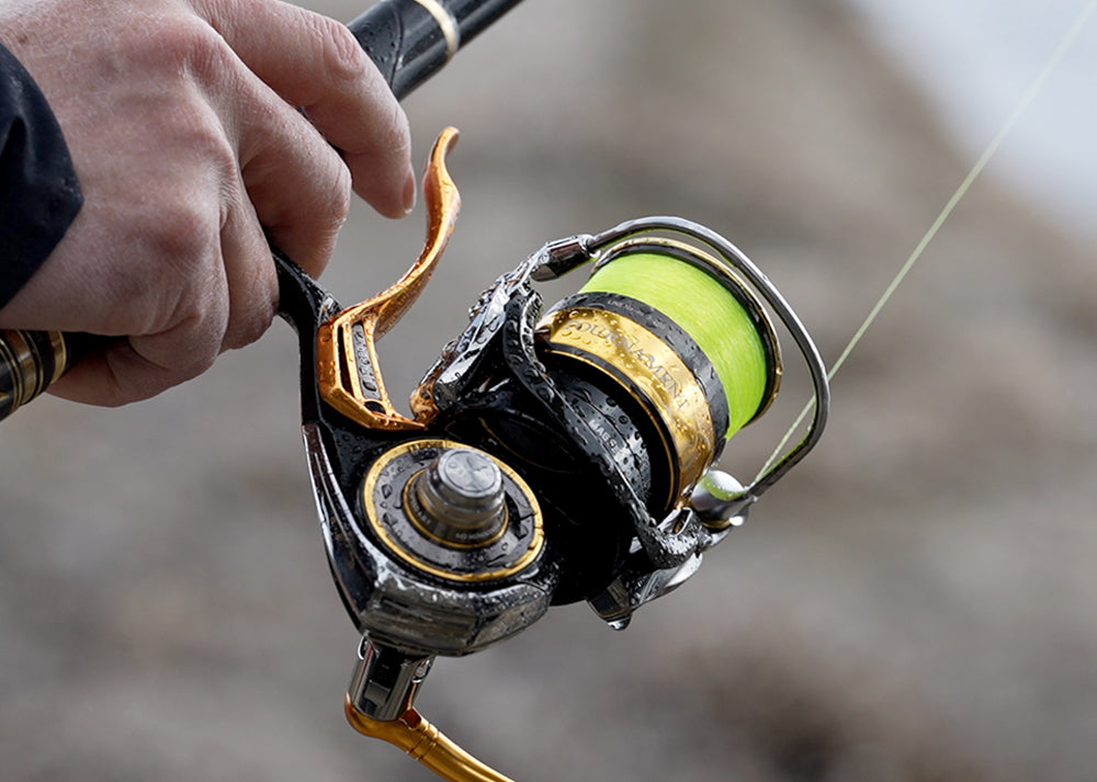Amazon.com : Daiwa Iso LB Reel, 22 Tournament, ISO 2500XH
