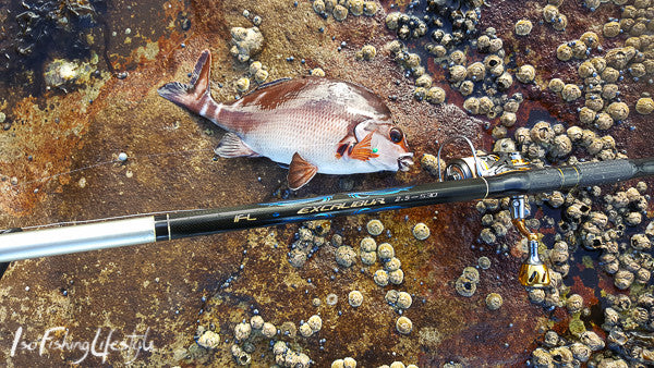 ISO fishing in the harbour for drummer