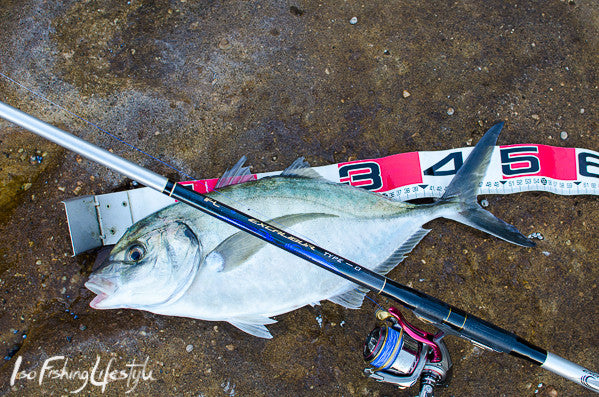 Report: Monster Silver Trevally on ISO