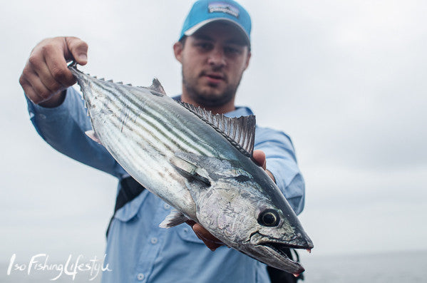 Report: Shore jigging with the Ozisofishing crew