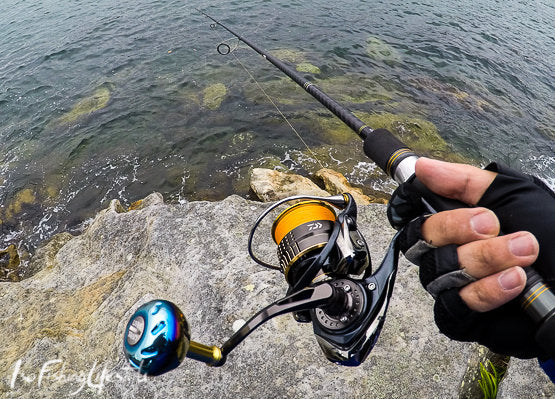 Sydney Harbour Shore Jigging