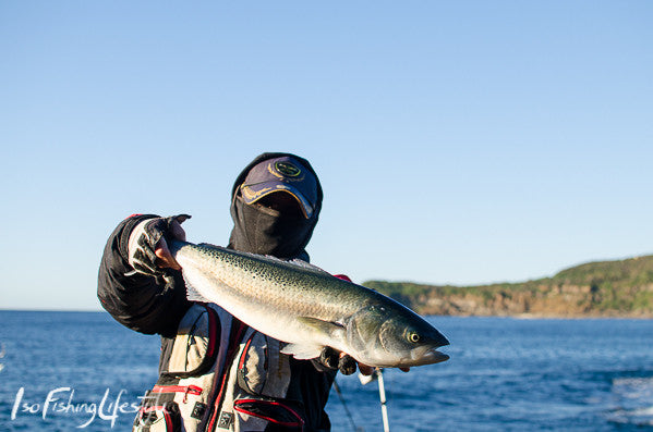 Report: Central Coast ISO Fishing