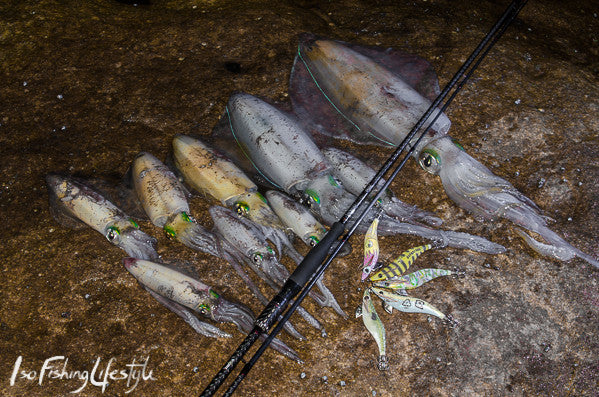 Report: Night time Eging (squid fishing) – Isofishinglifestyle