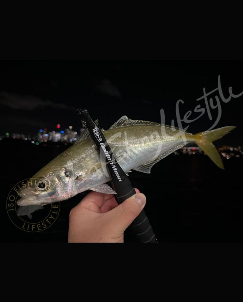 Ajing (Yellowtail Fishing)
