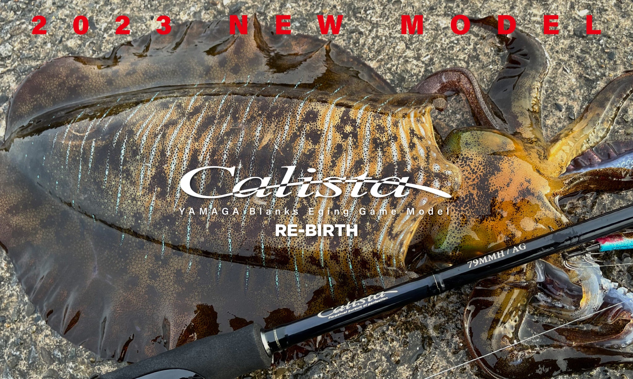 Yamaga Blanks 23 Calista TZ Nano 86M / PF – Isofishinglifestyle