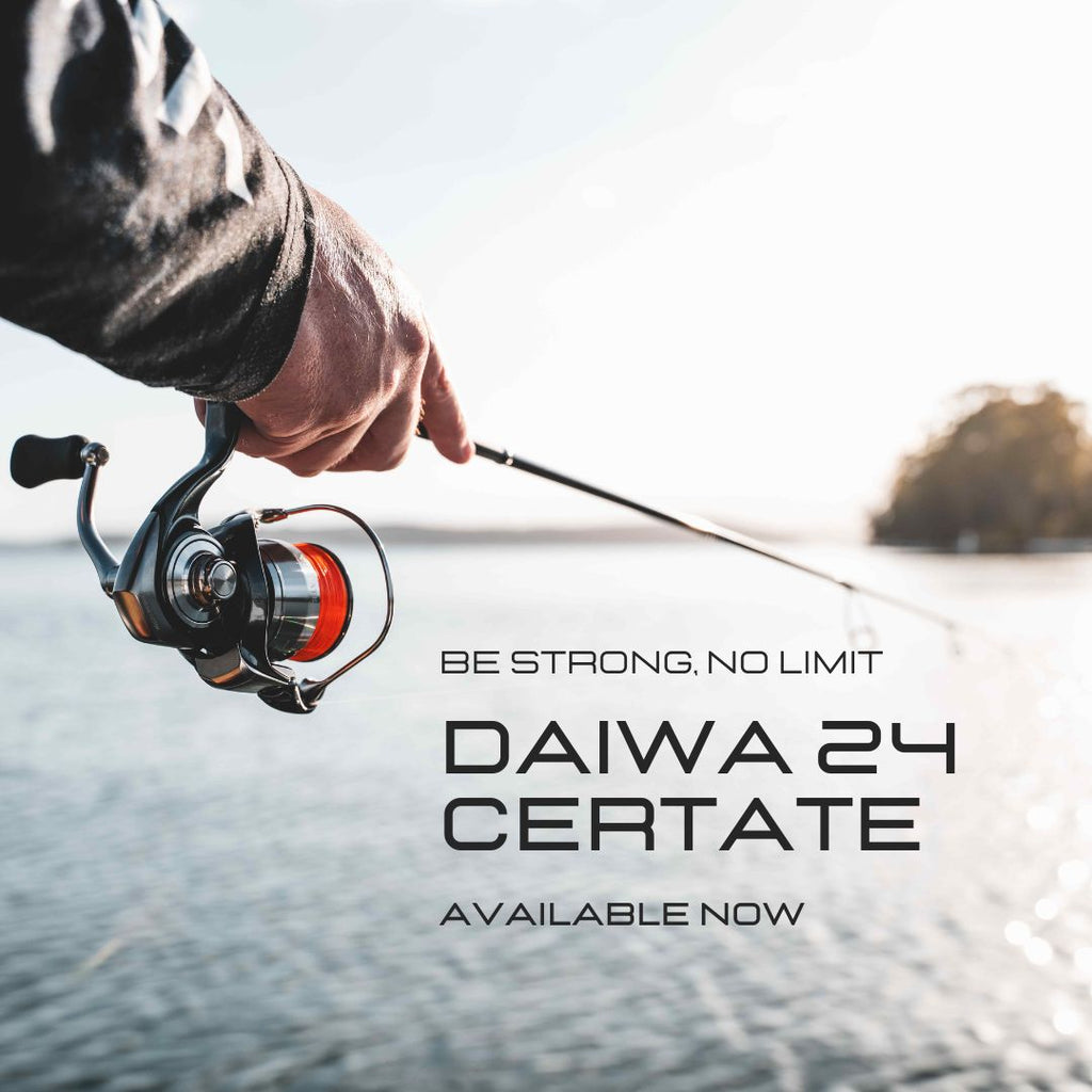 daiwa certate Archives - Light Rock Fishing