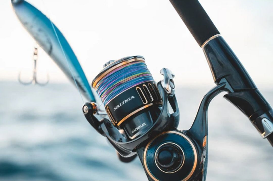 ダイワ 25 ソルティガ 25000-P 25ソルティガ25000-P DAIWA 25SALTIGA