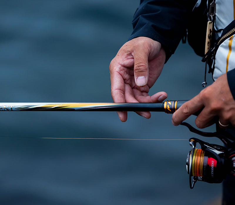 【超美品】TOURNAMENT ISO AGS M-53 DAIWA Iso Rod Tournament Iso AGS M-53 | eBay