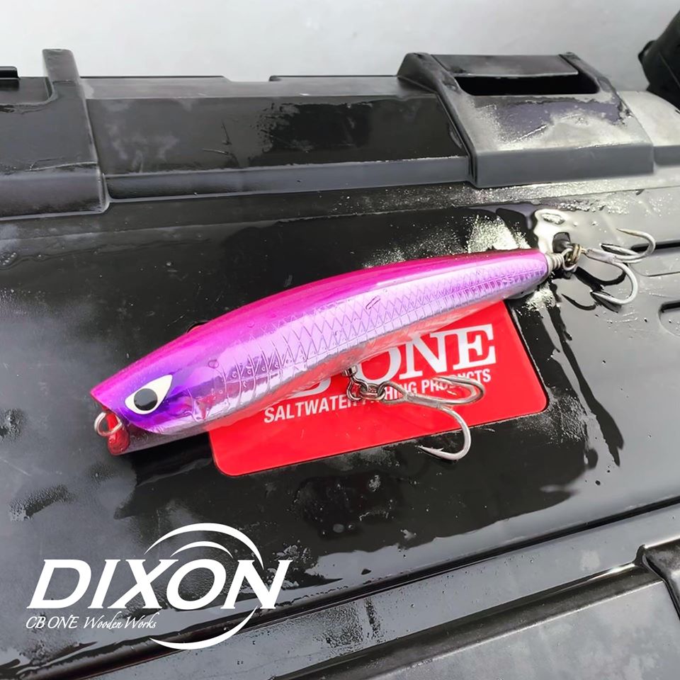 CB One 21 Dixon 200mm 94g – Isofishinglifestyle
