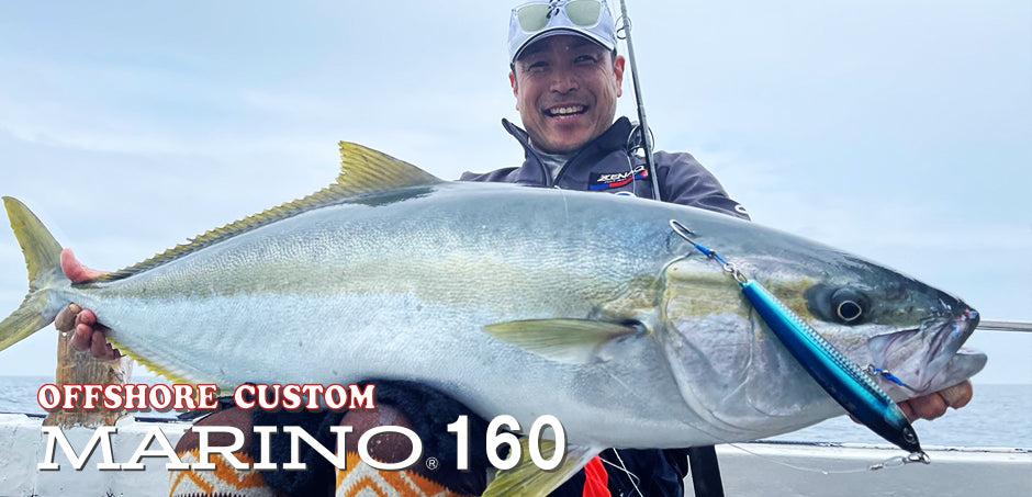 D-Claw Marino Slim Floating Stickbait 200mm 61g – Isofishinglifestyle