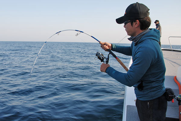 MC Works Dual Edge 643LR Low Response Jigging Rod