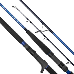 Daiwa Saltist X Fishing Rod – Isofishinglifestyle
