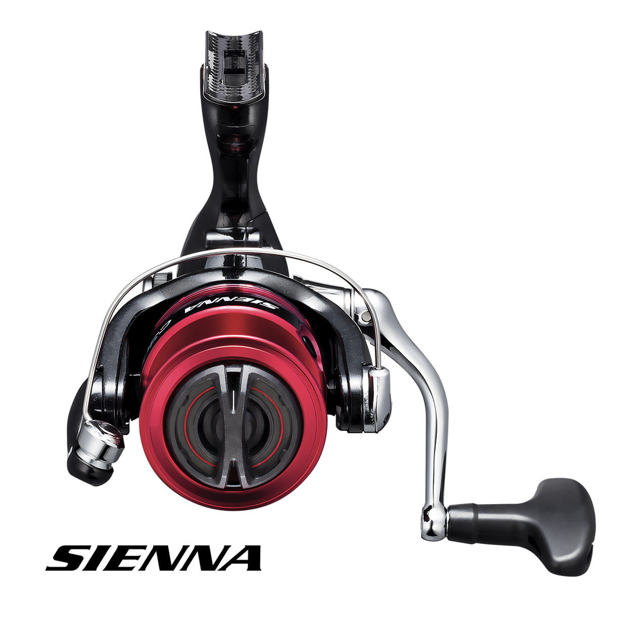 Shimano Sienna FG – Isofishinglifestyle