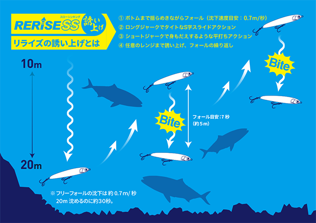  Recharge Sablimage Fish And Dolphins By Sentosphã¨Re